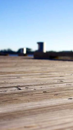 吃瓜大集合截图1